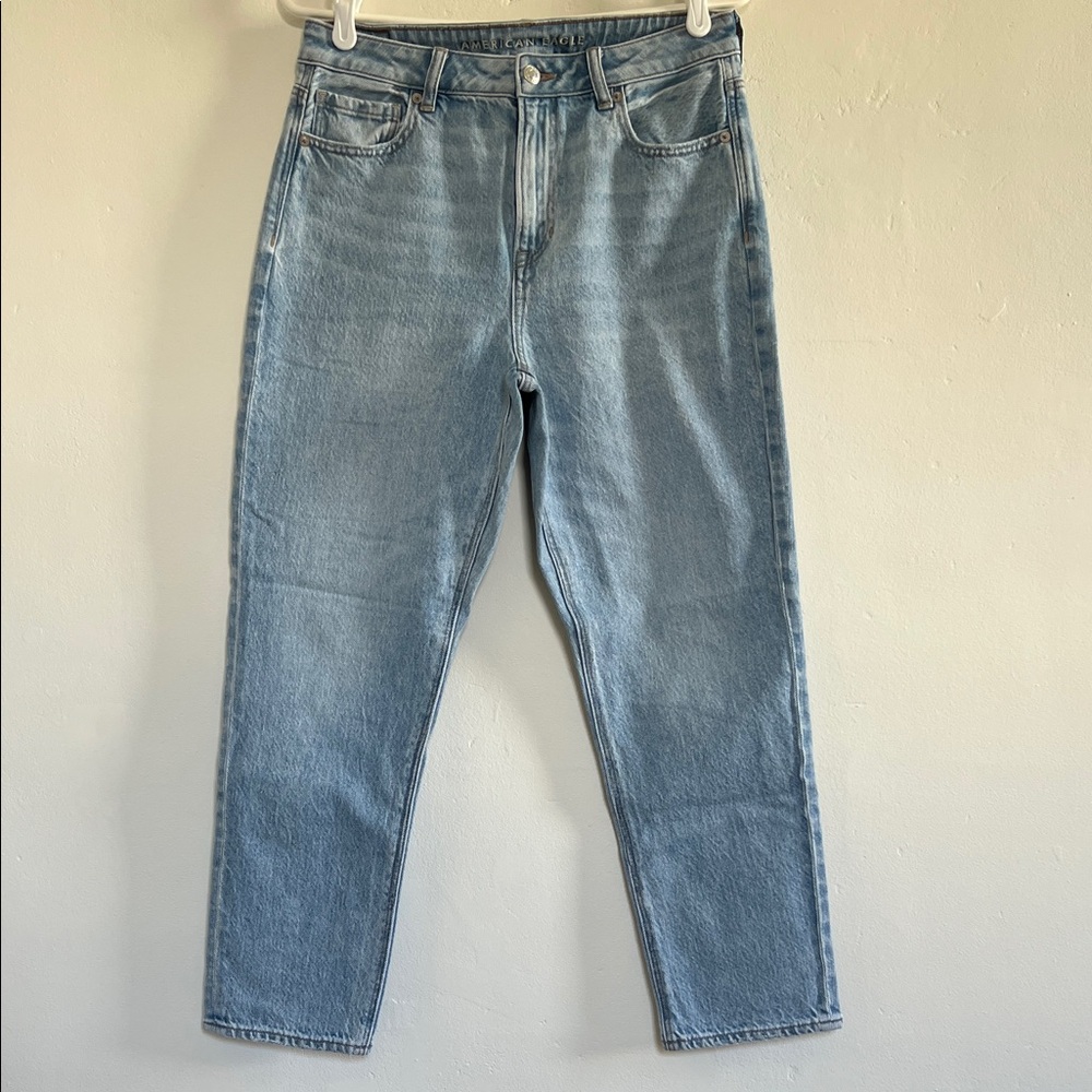 American Eagle Outfitters Strigid Mom Jean